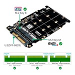 Adaptador Case Ssd M.2 Nvme/pcie E Ngff/sata Para SAS CS-SAS-SFF